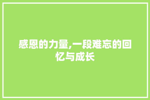 感恩的力量,一段难忘的回忆与成长