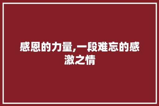 感恩的力量,一段难忘的感激之情