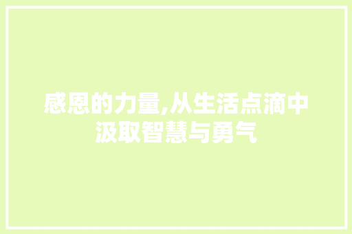 感恩的力量,从生活点滴中汲取智慧与勇气