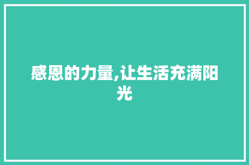 感恩的力量,让生活充满阳光