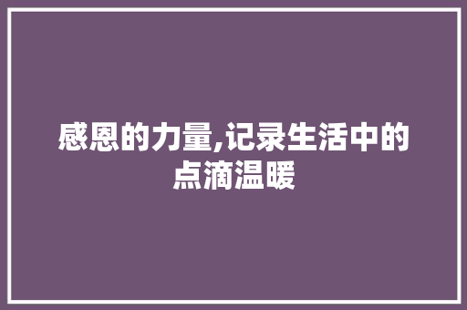 感恩的力量,记录生活中的点滴温暖