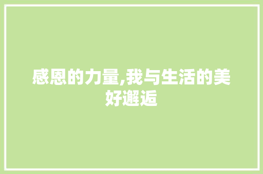 感恩的力量,我与生活的美好邂逅