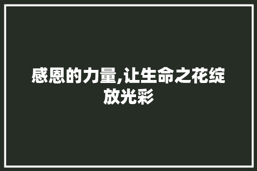 感恩的力量,让生命之花绽放光彩