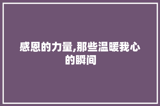 感恩的力量,那些温暖我心的瞬间