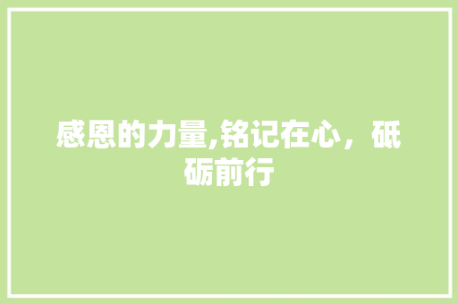 感恩的力量,铭记在心，砥砺前行