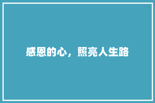 感恩的心，照亮人生路