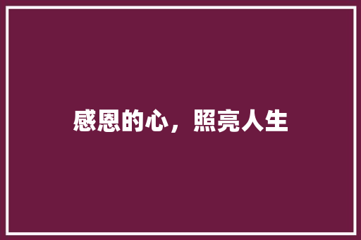 感恩的心，照亮人生