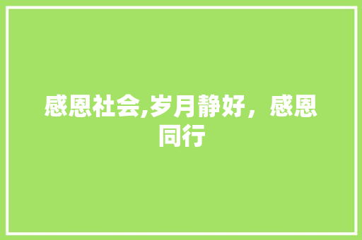 感恩社会,岁月静好，感恩同行