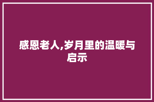 感恩老人,岁月里的温暖与启示