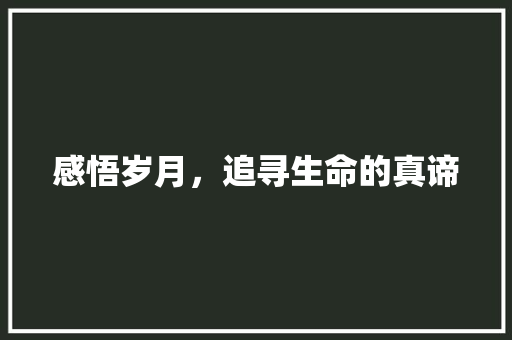 感悟岁月，追寻生命的真谛