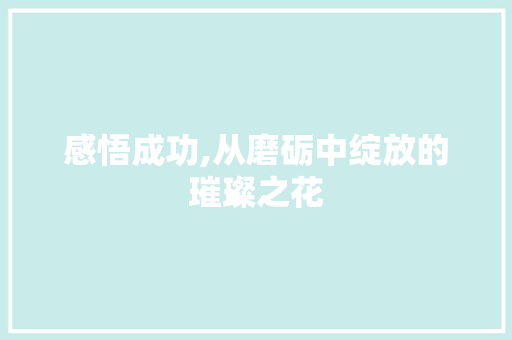 感悟成功,从磨砺中绽放的璀璨之花