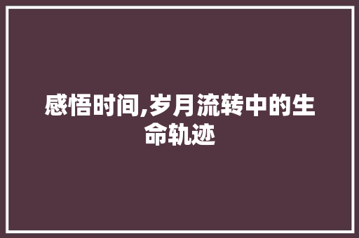 感悟时间,岁月流转中的生命轨迹