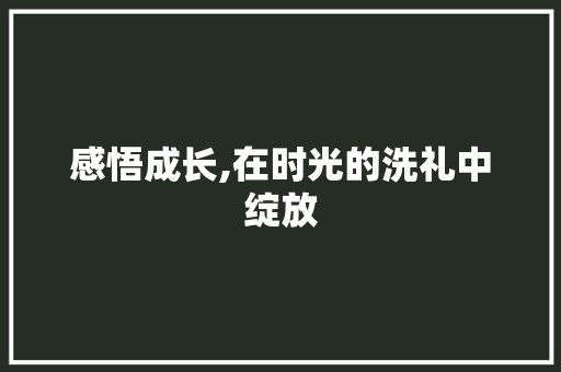 感悟成长,在时光的洗礼中绽放