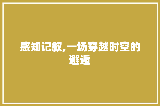 感知记叙,一场穿越时空的邂逅