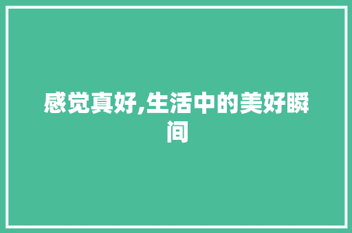 感觉真好,生活中的美好瞬间