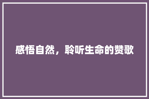 感悟自然，聆听生命的赞歌