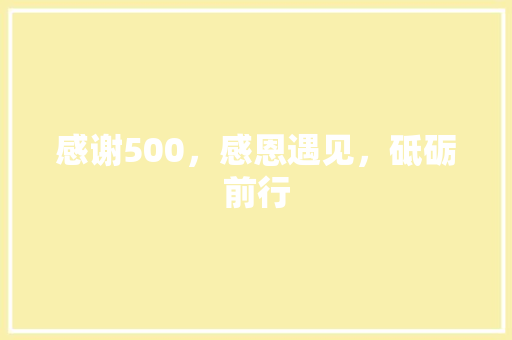 感谢500，感恩遇见，砥砺前行