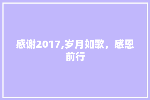 感谢2017,岁月如歌，感恩前行