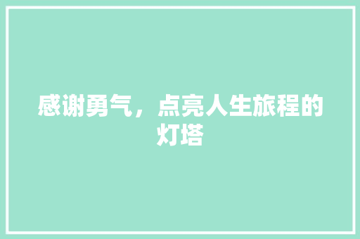 感谢勇气，点亮人生旅程的灯塔