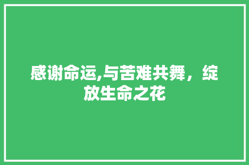 感谢命运,与苦难共舞，绽放生命之花