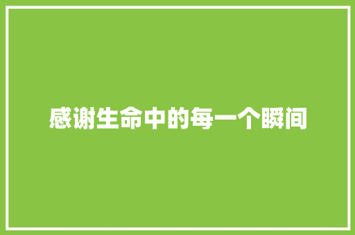 感谢生命中的每一个瞬间