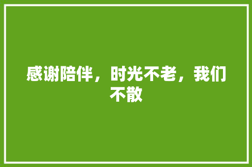 感谢陪伴，时光不老，我们不散