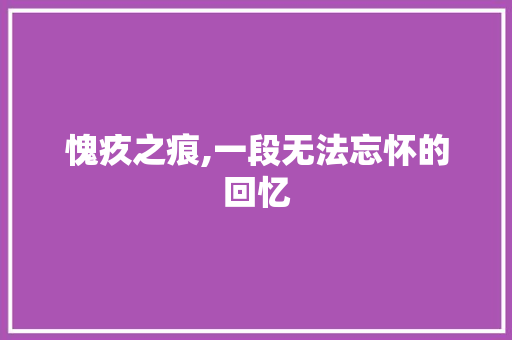 愧疚之痕,一段无法忘怀的回忆