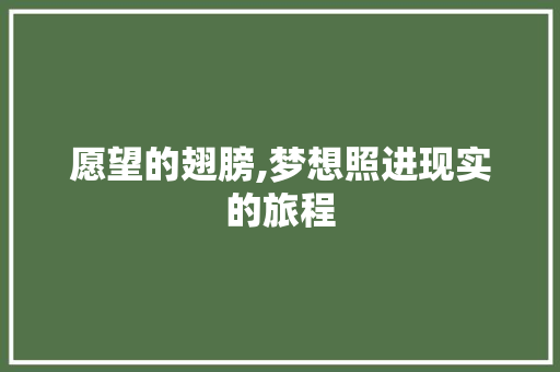 愿望的翅膀,梦想照进现实的旅程