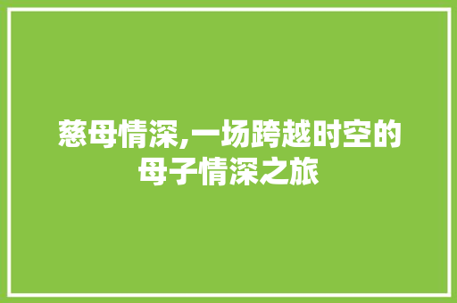 慈母情深,一场跨越时空的母子情深之旅