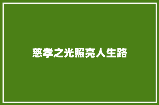 慈孝之光照亮人生路