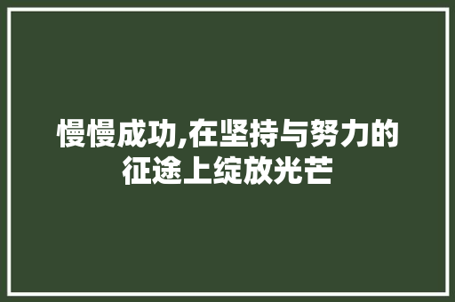 慢慢成功,在坚持与努力的征途上绽放光芒