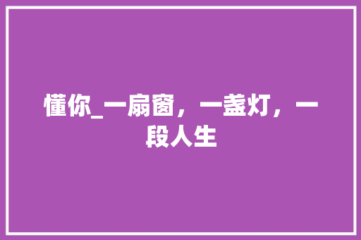 懂你_一扇窗，一盏灯，一段人生