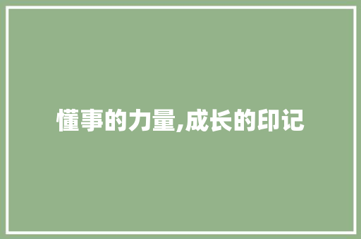 懂事的力量,成长的印记