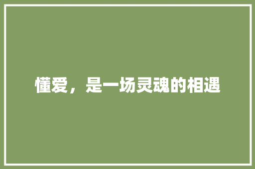 懂爱，是一场灵魂的相遇