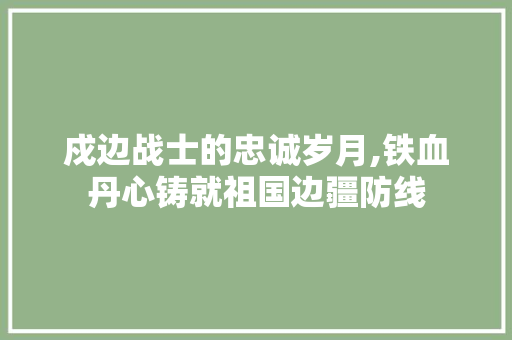 戍边战士的忠诚岁月,铁血丹心铸就祖国边疆防线