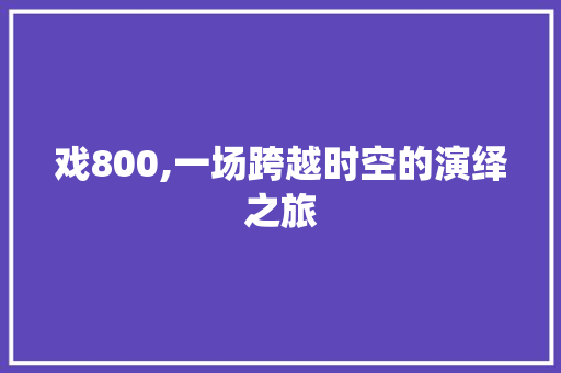 戏800,一场跨越时空的演绎之旅