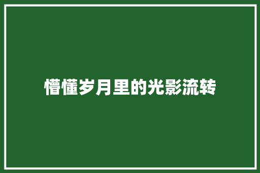 懵懂岁月里的光影流转