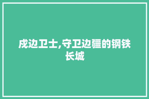 戍边卫士,守卫边疆的钢铁长城