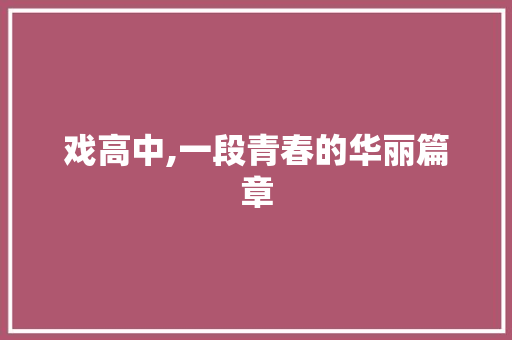 戏高中,一段青春的华丽篇章