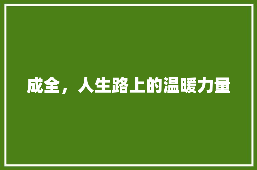 成全，人生路上的温暖力量