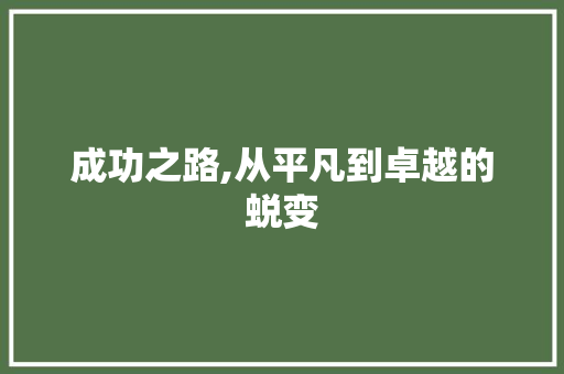 成功之路,从平凡到卓越的蜕变