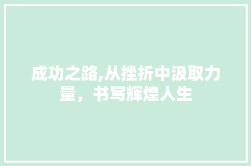 成功之路,从挫折中汲取力量，书写辉煌人生