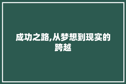 成功之路,从梦想到现实的跨越