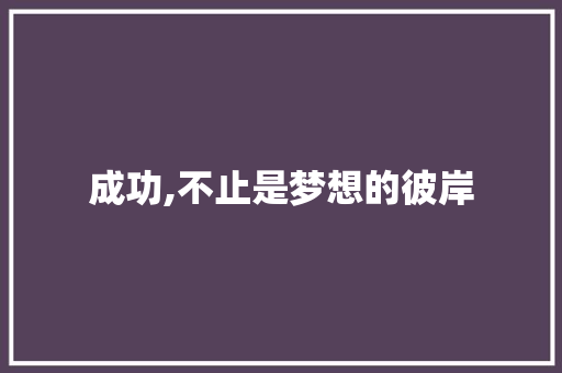 成功,不止是梦想的彼岸