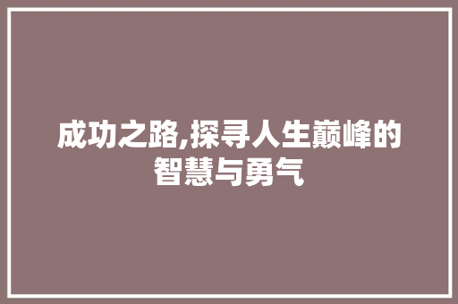 成功之路,探寻人生巅峰的智慧与勇气