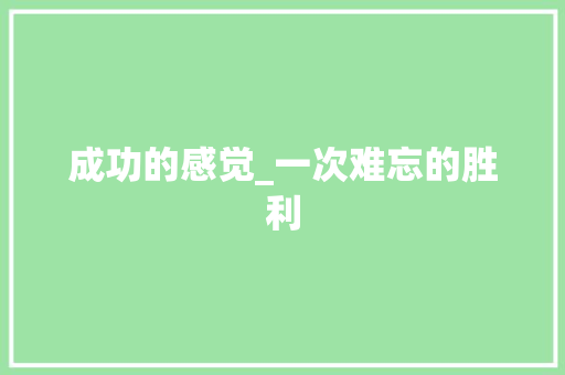 成功的感觉_一次难忘的胜利