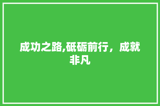 成功之路,砥砺前行，成就非凡