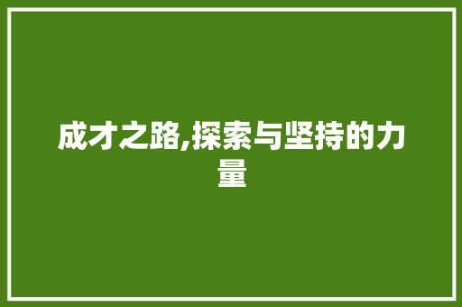 成才之路,探索与坚持的力量