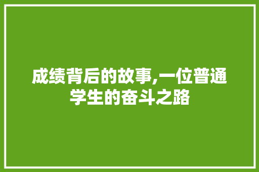 成绩背后的故事,一位普通学生的奋斗之路