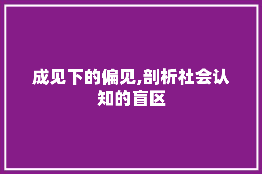 成见下的偏见,剖析社会认知的盲区